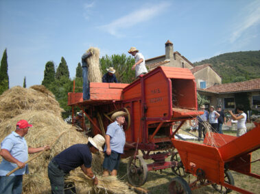 Balkan Music Eco Camp 2021 Cortona - La Frangia