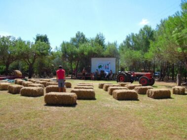 Balkan Music Eco Camp - La Frangia