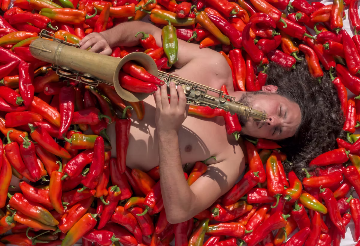 Disco Ajvar - La Frangia